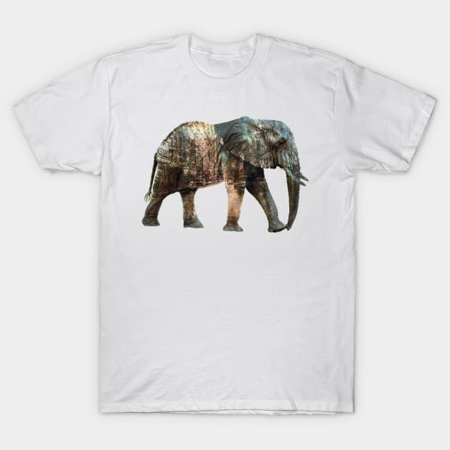 Elephant Street T-Shirt by i2studio